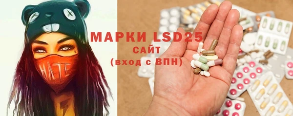 PSILOCYBIN Дмитриев