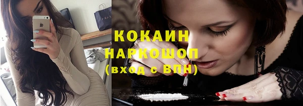 PSILOCYBIN Дмитриев