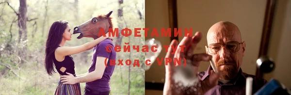 скорость Ельня