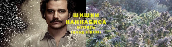 PSILOCYBIN Дмитриев