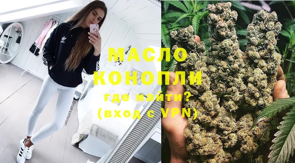 скорость Ельня