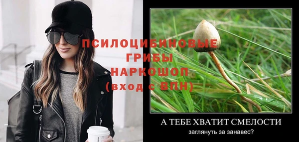скорость Ельня