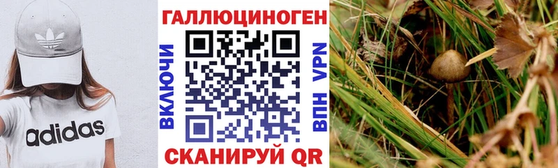 Псилоцибиновые грибы Cubensis  Купить закладки  Кунгур 